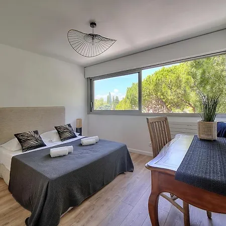Attique Antibois - Piscine - Vue - Parking - Wifi Apartment *